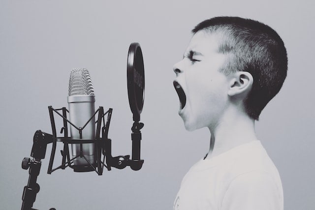 7 Foolproof Ways to Find Your Blogging Voice in 2023
